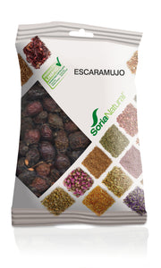 Soria Natural Escaramujo Planta en Bolsa 100 g